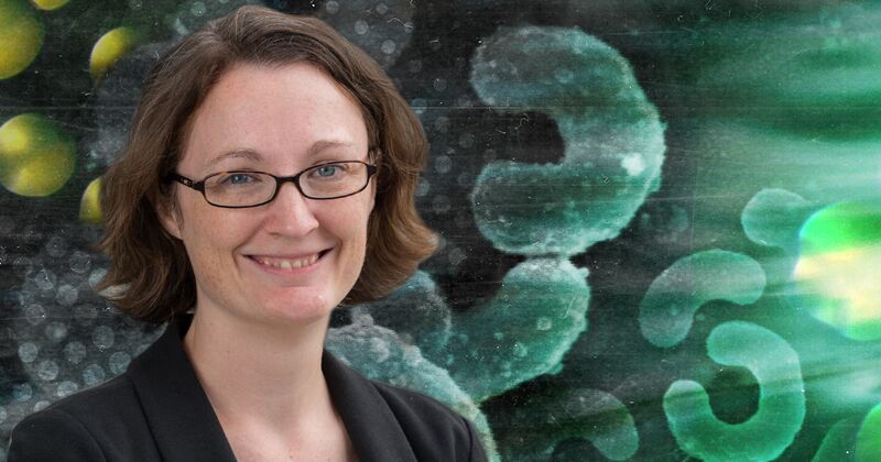 UD researcher Julia Maresca studies how bacteria in freshwater environments respond to light.