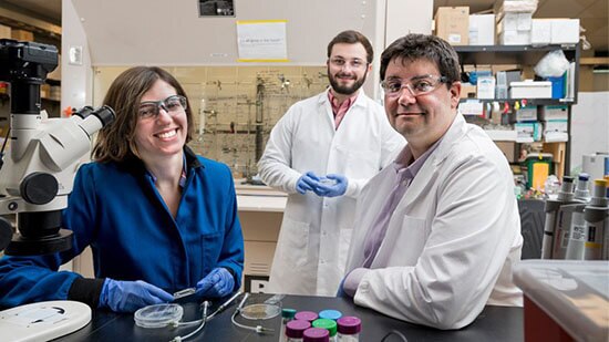 UD assistant professor Jason Glegorn (right) , doctoral students in his lab, Jasmine Shirazi (left) and Michael Donzanti (center).