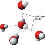 Schematic of Hydrogen Bonding
