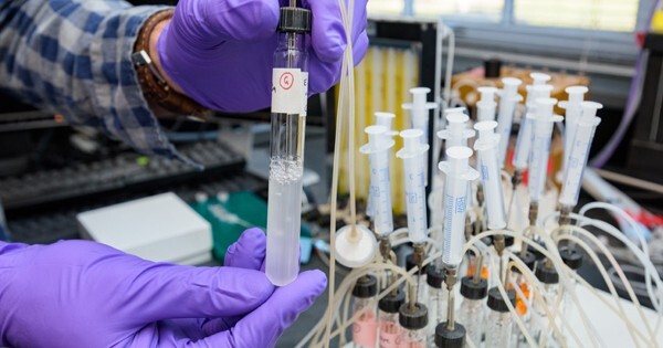 bioreactor