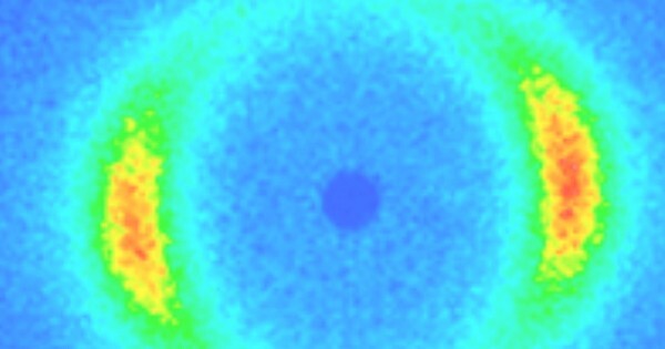This image was obtained during a neutron scattering experiment.