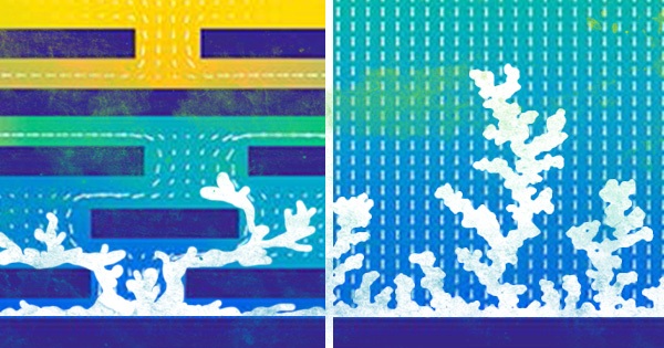 A visual representation of dendrites on lithium metal anodes.