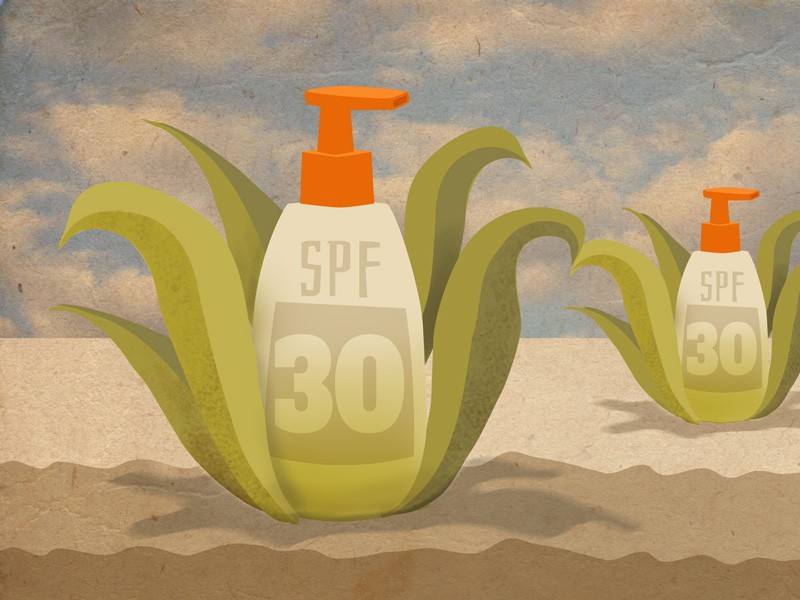 An illustration shows two bottles of lotion labeled with SPF 30. Each is nested within a plant to represent the potential for a plant-based product.