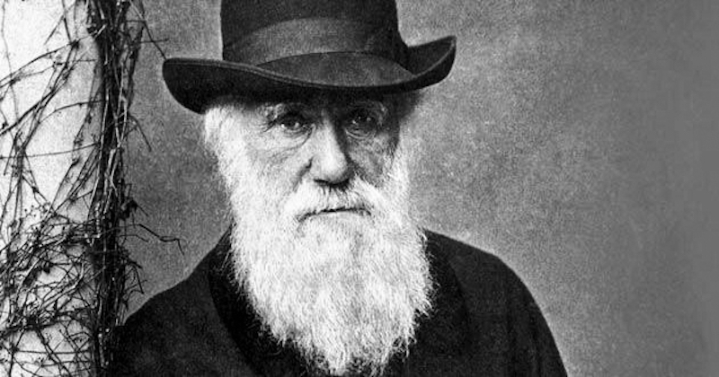 International Darwin Day celebrates Charles Darwin's contributions to humanity, science and rational thought.