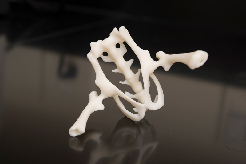This 3D-printed model shows a hip joint.