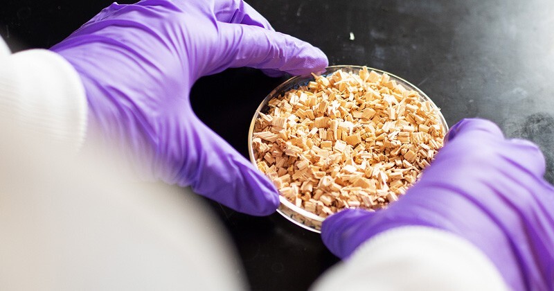 CCEI researchers at UD have outlined a strategy to create renewable lubricants from non-food biomass, such as woodchips (above), grass, and other organic waste.