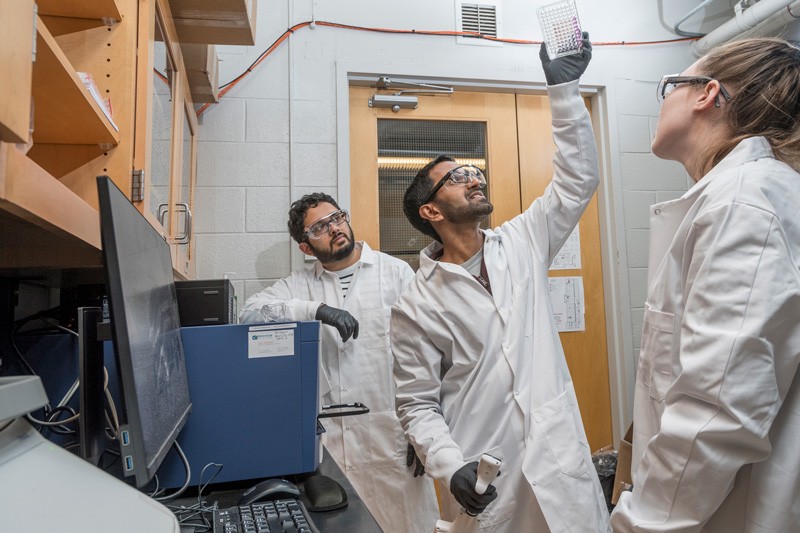 Graduate student Sabyasachi (Sunny) Sen, assistant professor of chemical and biomolecular engineering Aditya Kunjapur (center), and graduate student Morgan Sulzbach (right) examine a sample.