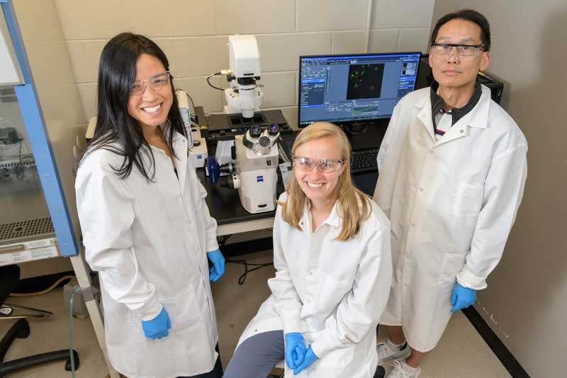 Doctoral student Rachel Lieser (center) partnered with her two faculty advisors, Wilfred Chen and Millie Sullivan