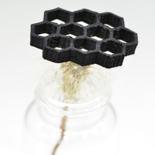 3d carbon nanotube architecture atop a dandelion