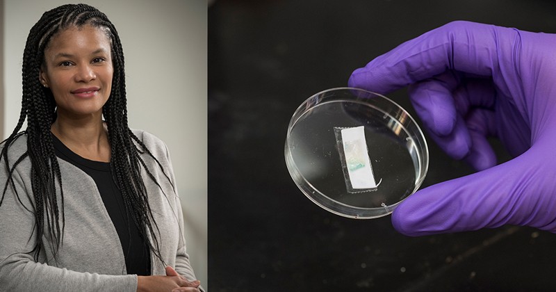Doctoral student Chase Thompson, whose hands are pictured here, and Distinguished Associate Professor LaShanda Korley (left) mimicked the architecture of the bristle worm’s jaw system by adding a zinc-coordinated supramolecular polymer into a covalently crosslinked polyethylene glycol network.