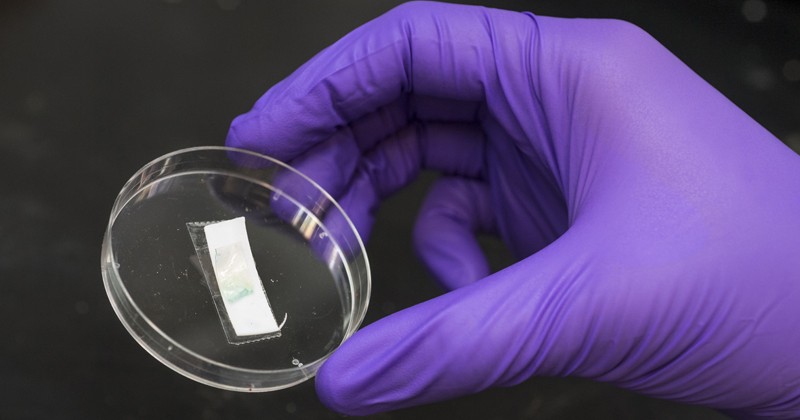 gloved hand holds Petri dish containing sample