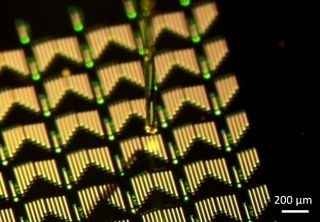 A research team at the University of Delaware fabricated a tiny metalens – a thin lens that can be designed at the nanoscale to focus light in a specific way – on a silicon-based chip programmed with hundreds of tiny air slots, enabling parallel optical signal processing all within the tiny chip.