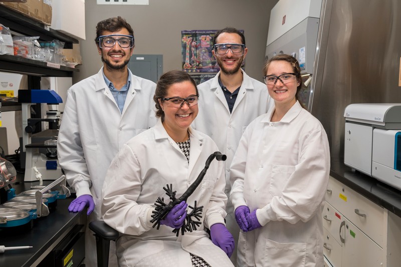 From left to right: doctoral student Bader Jarai, assistant professor Cathy Fromen, doctoral student Zach Stillman and doctoral student Emily Kolewe work to develop improved tools for pulmonary drug delivery testing, probe lung biology and immune function, and engineer novel therapeutics for controlled immune stimulation in the lung.