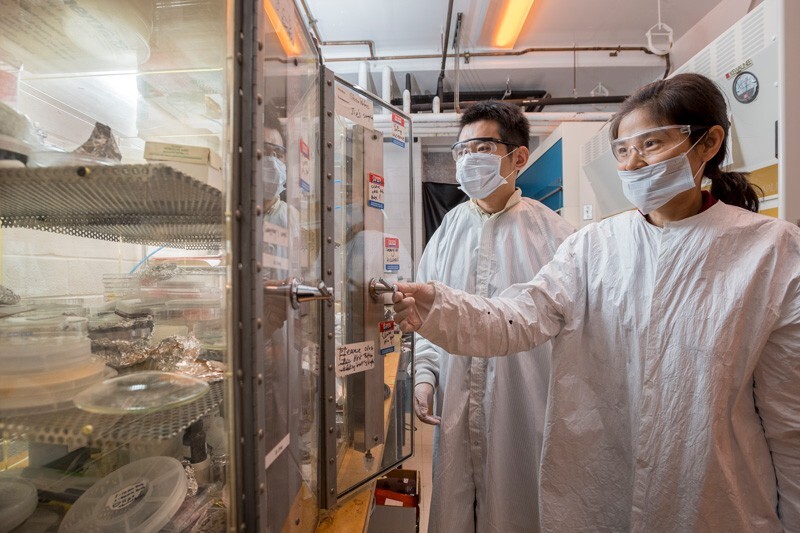Professor Yuping Zeng and graduate student Peng Cui in lab