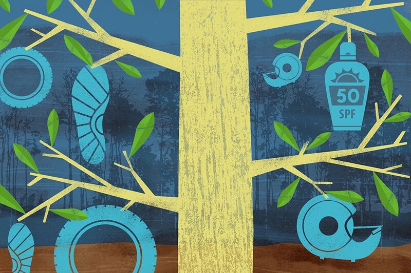 University of Delaware researchers are working to unlock new routes to sustainably develop materials from lignin.