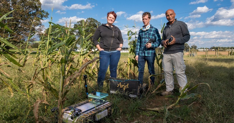 This photograph was taken before the coronavirus (COVID-19) pandemic forced the need for social distancing and the wearing of masks. UD researchers are using robotics to study the roots of corn plants. From left to right are Erin Sparks, assistant professor of plant and soil sciences; Adam Stager, doctoral student of mechanical engineering; and Teclemariam (Tecle) Weldekidan, research scientist in plant and soil sciences.