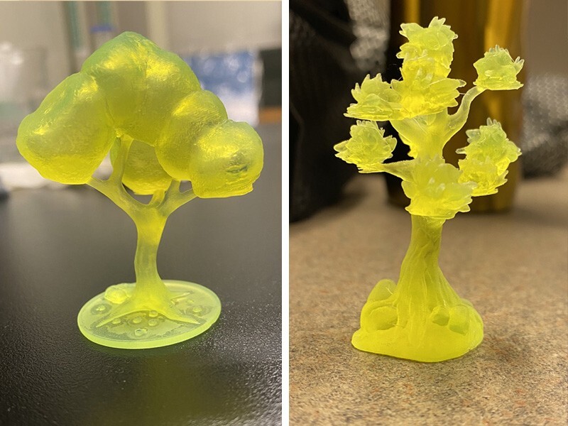3D printed plant models