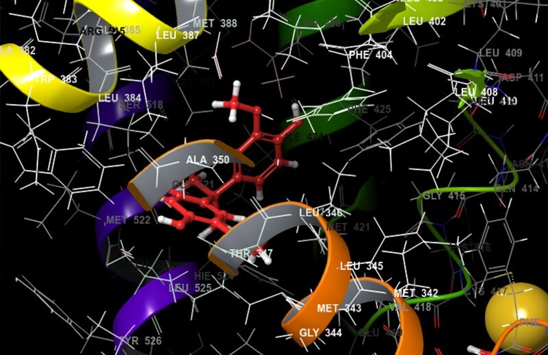 Alice Amitrano generated this molecular docking image, which describes how her lignin-based molecule (in green) interacts with estrogen in terms of orientation and position.