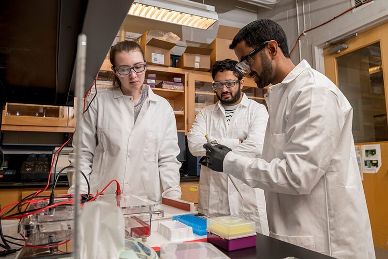 COE-Biomolecular_Eng_Kunjapur-009 Aditya Kunjapur, a new assistant professor in the Department of Chemical and Biomolecular Engineering, has been named to the Johns Hopkins Center for Health Security’s Emerging Leaders in Biosecurity Initiative fellowship program in 2019. He works with graduate students Sabyasachi (Sunny) Sen and Morgan Sulzbach in his lab in Colburn using the latest pipette techniques with gels.