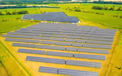 Honor in Solar Energy
