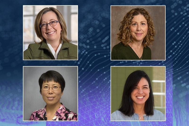 The new Delaware Center for Musculoskeletal Research will be led by (clockwise from top left) Blue and Gold Distinguished Professor of Biomedical Engineering Dawn Elliott; Professor Velia Fowler, chair of UD’s Department of Biological Sciences, will co-direct the center; and Professors Millie Sullivan and Liyun Wang, both from the College of Engineering, will co-direct the center’s Multiscale Assessments Research Core.