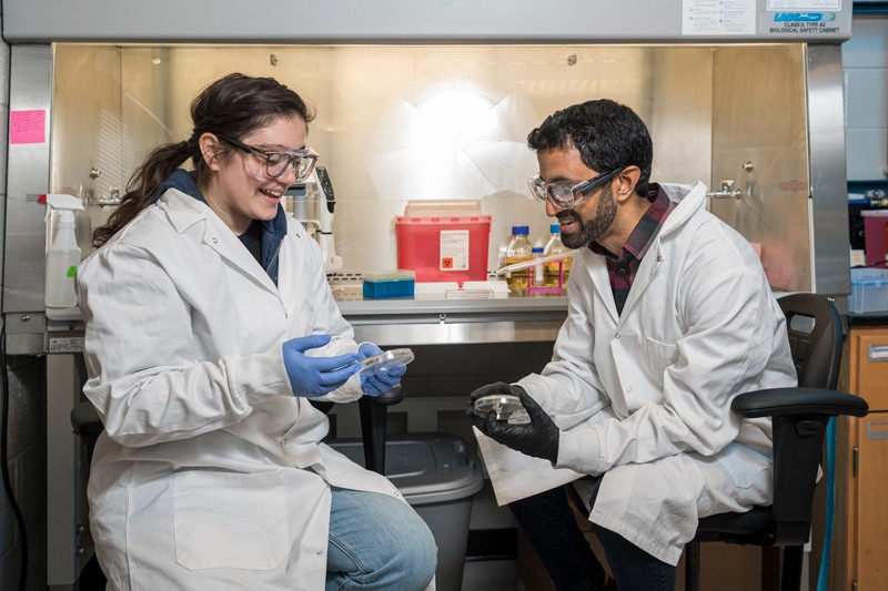 Aditya Kunjapur, assistant professor of chemical and biomolecular engineering (right), and doctoral student Michaela Jones compare samples in the lab.