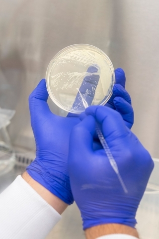 Chemical engineer Mark Blenner does not brew beer — rather, by modifying strains of yeast, he is brewing chemicals needed for pharmaceutical drugs.