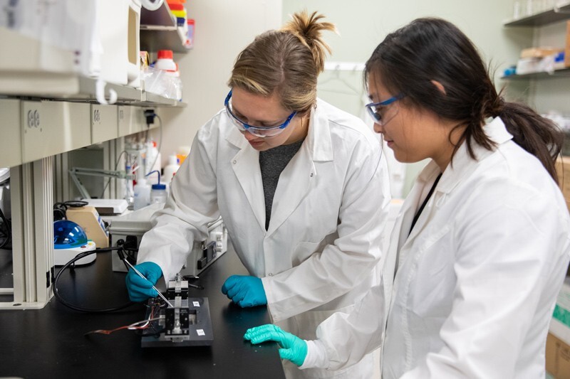 Ellen Bloom (left) and Lily Lin, UD doctoral candidates in biomedical engineering, work in their lab on the Science, Technology and Advanced Research (STAR) Campus. Alongside professors Dawn Elliott, Karin Grävare Silbernagel and Justin Parreno, they’re studying tendon damage.