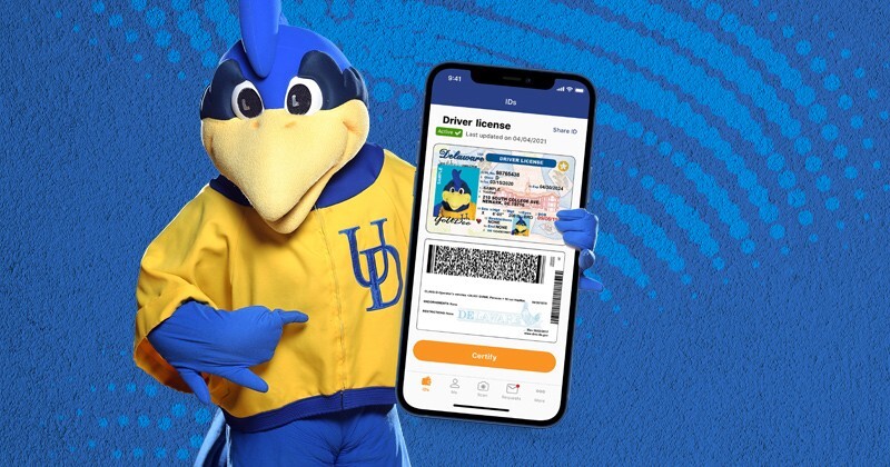 UD Mascot holding an oversized smartphone with an image of a Delaware drivers license.