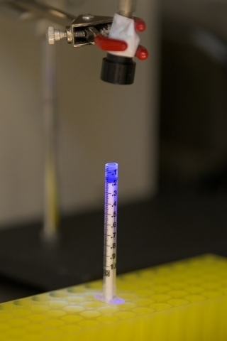 A syringe mold, like the one shown in this biosafety cabinet, are used to form the cell-laden hydrogels for the Kloxin group’s well-defined 3D cultures.