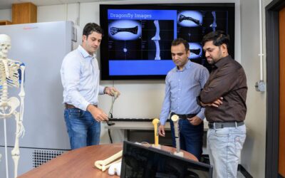 Engineering a clearer view of bone healing