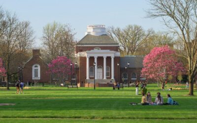 Top marks for UD graduate programs