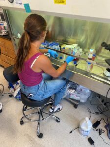 Miller gained hands-on research experience at UD's Hast Lab.