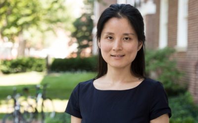 Air Force Young Investigator Grant