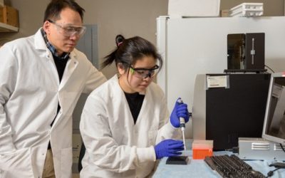 Programming DNA to deliver cancer drugs