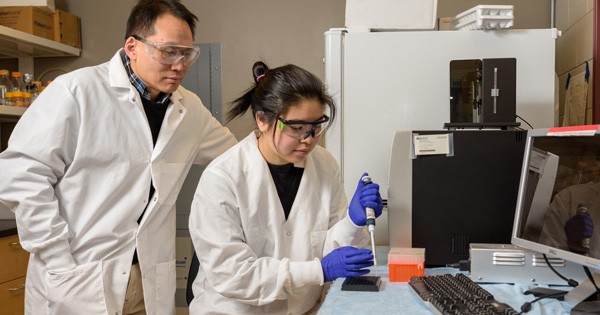 Wilfred Chen and Rebecca P. Chen