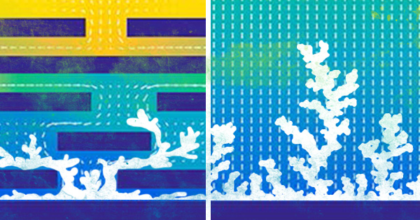 A visual representation of dendrites on lithium metal anodes.
