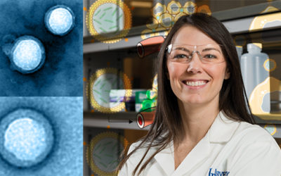 Day Earns NSF CAREER Award