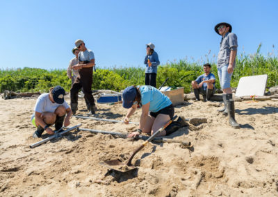 Rachel Schaefer and research team on Pea Patch Island