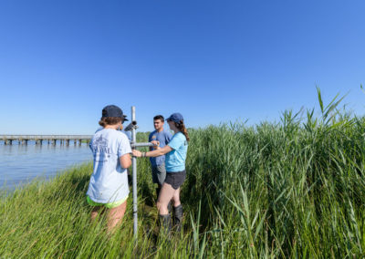 Rachel Schaefer and research team on Pea Patch Island