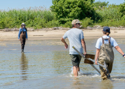 Rachel Schaefer and research team on Pea Patch Island