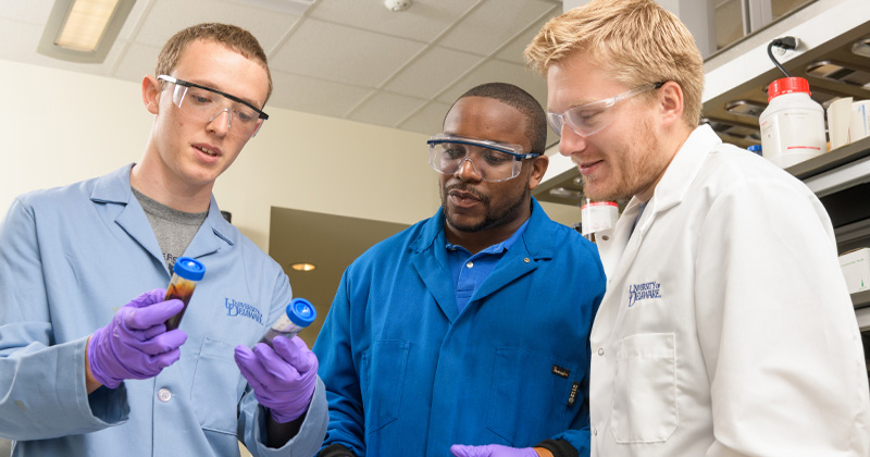 Three scientists conduct RAPID biomass observations.