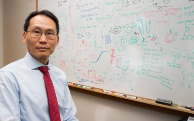 Wilfred Chen and DNA Computers