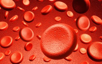 Gene Therapy for Blood Disorders