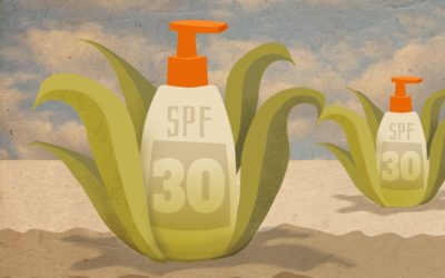 From Lotion to Ocean Liner