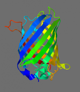 protein structure