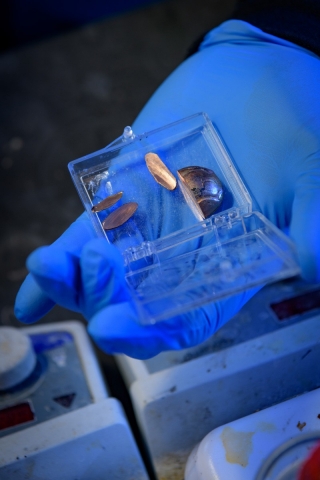 Copper alone is not effective at producing hydrogen. But add some interesting chemistry — and a teeny bit of titanium — and a world of possibilities suddenly opens to create catalysts that pull their weight and serve the environment.