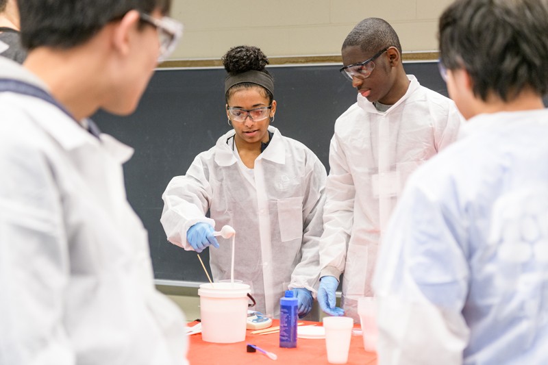 Students engage with an experiment.