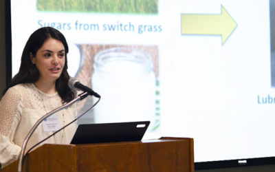 Showcasing energy research