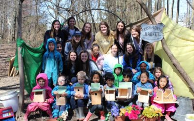 Teaching With Birdhouses